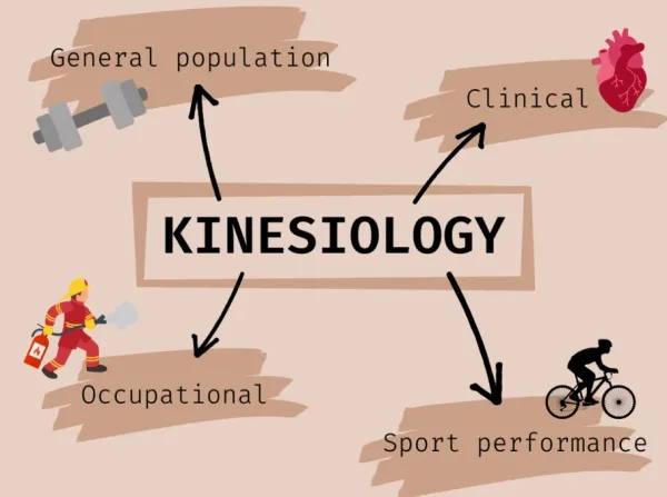 What can you do with a kinesiology degree?